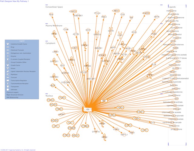 AR genes and ligands