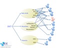 NRs and dietary bioactives