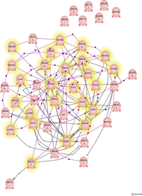 pwmap