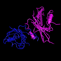 Molecular graphic for MMDB ID 113622 biounit 1